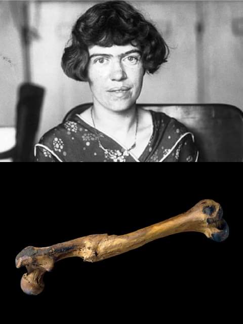 antopologa