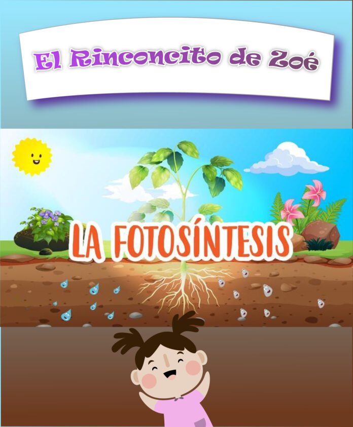 Rinconcito de Zoe-16