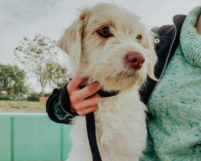 esterilizacion