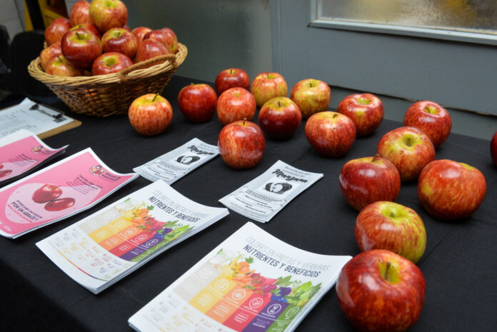 campaña manzana1