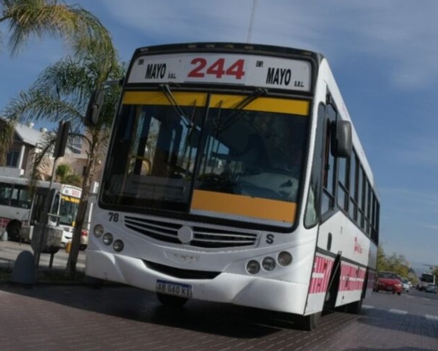 244 mayo