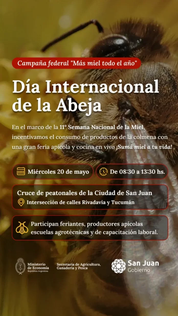 dia-internacional-de-la-abeja-s7vhVXBh