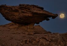 La magia de la luna llena vuelve a iluminar Ischigualasto