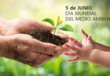En el Día Mundial del Medio Ambiente…una reflexión