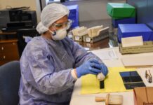 El Archivo General de la Provincia incorporó más de 300 tipos documentales