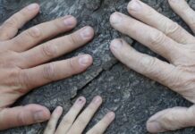 Raíces de Amor, Olivos de Vida: Nuestra Historia en La Pocitana