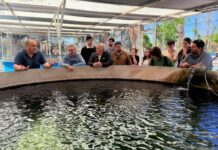 Especialistas realizaron estudios en los embalses de San Juan