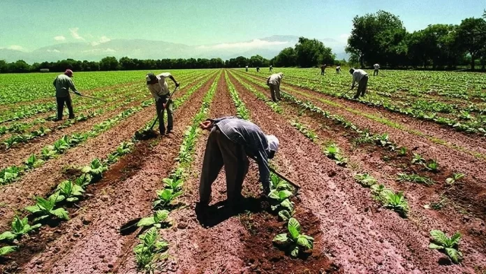 chacareros