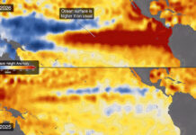 Los satélites de la NASA siguen el avance de El Niño: la señal clave en el océano que anticipa un impacto extremo en el clima